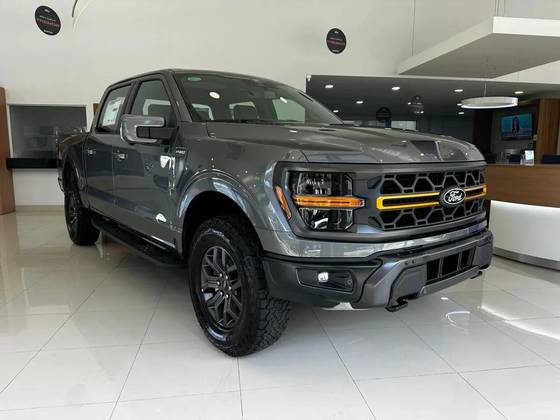 FORD F-150 5.0 V8 GASOLINA CD TREMOR FX4 AUTOMÁTICO